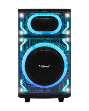 PARTY SPEAKER